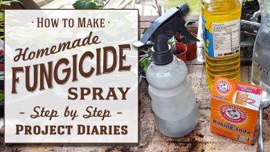 Photo of Homemade Fungicide: [How to Prepare Them and 5 Examples]