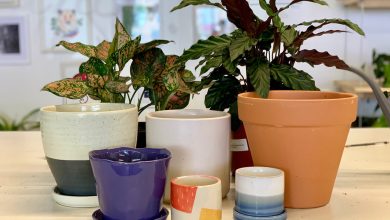 Photo of How to choose between plastic and ceramic pots