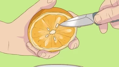 Photo of How to Germinate Orange Seeds: [Time, Actions, Place and Steps]