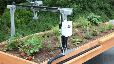Photo of How to have your robotic garden: a garden that grows itself