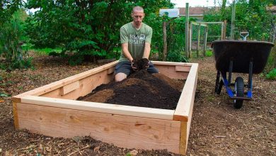 Photo of How to make a flower bed in the garden