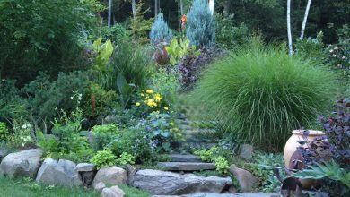 Photo of How to make a low maintenance sustainable garden