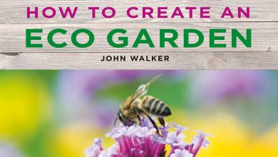 Photo of How to make an Ecological Garden: Useful Guide. What is a Sustainable Garden