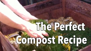 Photo of How to make Compost for the garden step by step: Video tutorial