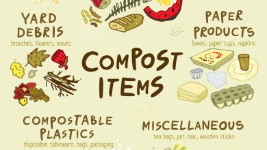 Photo of How to make compost step by step. Types of home compost