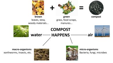 Photo of How to Make Homemade Organic Compost: [Types and Forms]