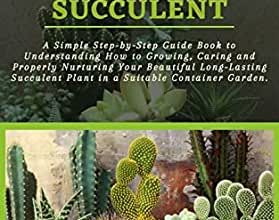 Photo of How to Plant a Cactus: Step by Step Manual [12 Steps + Images]