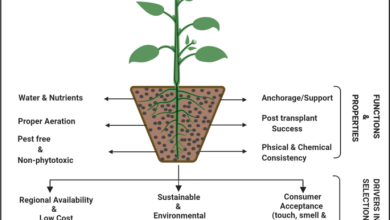 Photo of How to prepare substrate for the garden. Characteristics of the Ecological Substrate
