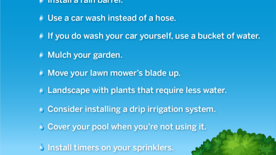 Photo of How to save water in the garden in summer