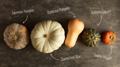 Photo of How to take care of the different types of pumpkin?