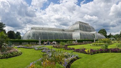 Photo of Kew Gardens: Horticulture and Nature in London