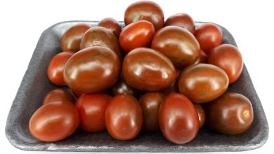 Photo of Kumato Tomato: [Planting, Care, Irrigation, Substrate and Pests]