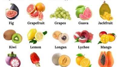 Photo of List of 30 Tropical and Exotic Fruits: [Images and Characteristics]