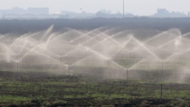 Photo of Misting Irrigation: [Concept, Advantages and Requirements]