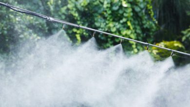 Photo of Misting irrigation system or Fog System: Complete guide