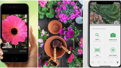 Photo of Mobile Applications for the Garden: 4 apps that help you grow