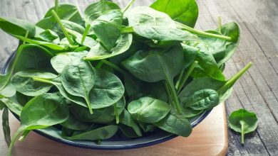 Photo of Most Famous Types and Varieties of Spinach
