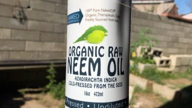 Photo of Neem Oil: [20 Reasons to Use It in Your Garden and How to Do It]