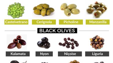 Photo of Olive Types and Varieties