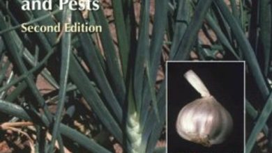 Photo of Onion Pests and Diseases: Complete Guide