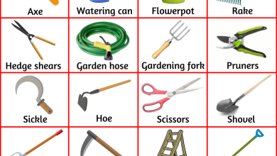Photo of Orchard and garden machinery | garden tool names
