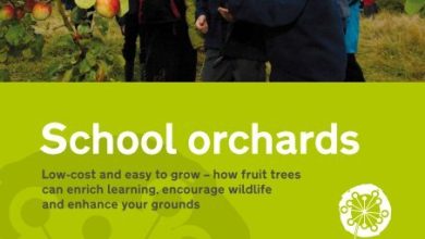 Photo of Orchards in Nurseries: Learning to sow