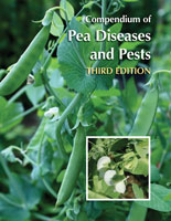Photo of Pea pests and diseases: Complete guide with photos