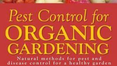 Photo of Pest and Disease control methods in organic gardens