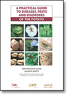 Photo of Potato pests and diseases: Complete guide with photos