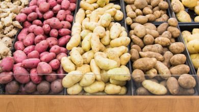 Photo of Potato types and varieties: Difference between new and old potato