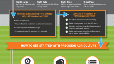 Photo of Precision Agriculture: [Concept, Uses, Examples]