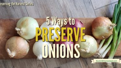 Photo of Preserving Onions: [Conditions, Time and Method]