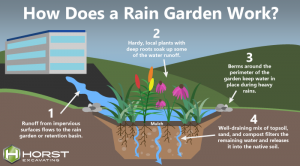 Photo of Rain Gardens: How to take advantage of rainwater in the garden