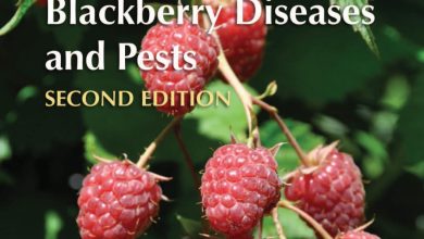 Photo of Raspberry: [Cultivation, Irrigation, Associations, Pests and Diseases]