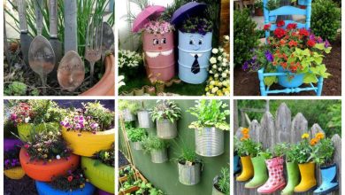 Photo of Recycled Materials in the Urban Garden: The best ideas