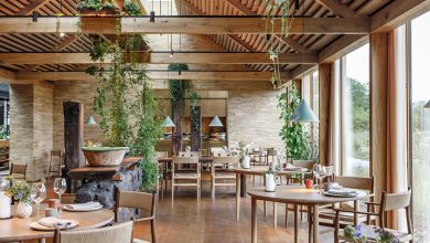 Photo of Restaurants with gardens: Noma, Azurmendi and others