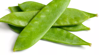 Photo of Snow peas: [Characteristics, Cultivation, Care and Disadvantages]