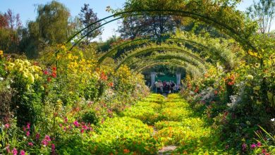 Photo of Special Gardens around the World in Agrohuerto
