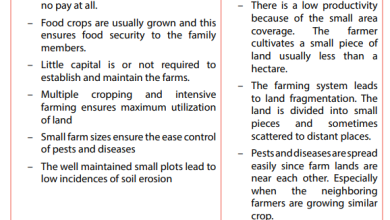 Photo of Subsistence Agriculture: [Concept, Operation, Advantages and Disadvantages]