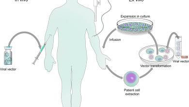 Photo of Suntan Virus: [Characteristics, Detection, Effects and Treatment]