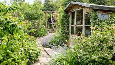 Photo of The 8 Best Garden Sheds of 2022