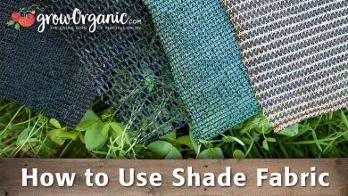 Photo of The shading. How to protect the orchard from the sun: Shade Mesh and other solutions