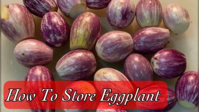Photo of The white eggplant: How to save a vegetable in extinction?