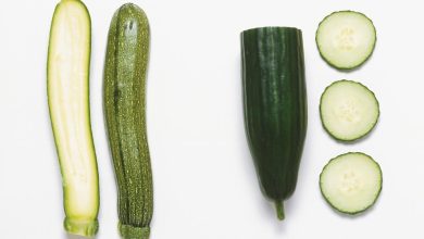 Photo of Types of Cucumber: [Characteristics, Best Variety and Difference with Zucchini]