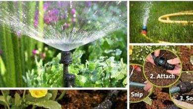 Photo of Types of Irrigation | Advantages of each Irrigation System for the Garden
