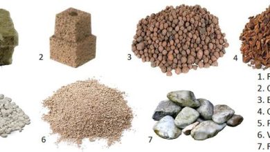 Photo of Types of Substrates in Hydroponics