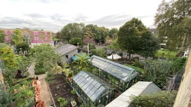 Photo of Urban garden in London: Walworth Garden Farm
