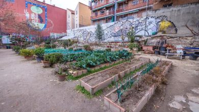 Photo of Urban gardens in Arganzuela (Madrid)