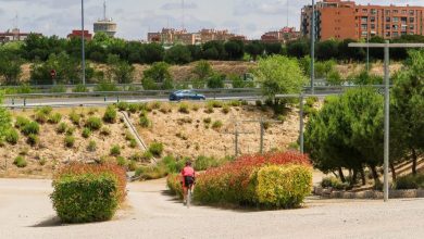 Photo of Urban gardens in the District of Moratalaz (Madrid)