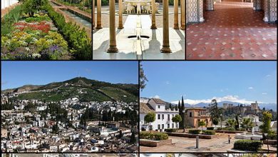 Photo of Varieties of Granada: [Characteristics and Classification]